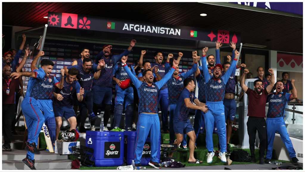 World Cup 2023: High-flying Afghanistan qualify for 2025 Champions Trophy after Bangladesh beat Sri Lanka