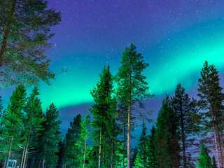 Dazzling! Geomagnetic storm triggers auroras over North America, Europe | Pics inside