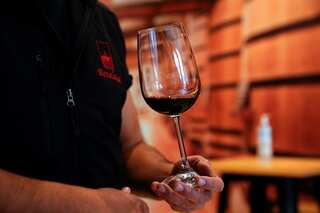 Beer fear or Wine fine? What happens to your gut when you gulp down alcohol