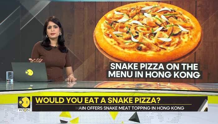 Gravitas: Snakes on a plate: World's first snake pizza