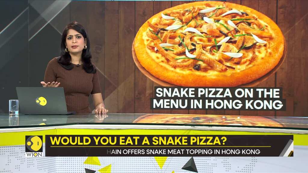 Gravitas: Snakes on a plate: World's first snake pizza