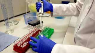 Czech startup gets EU nod to make lab-grown meat for pets