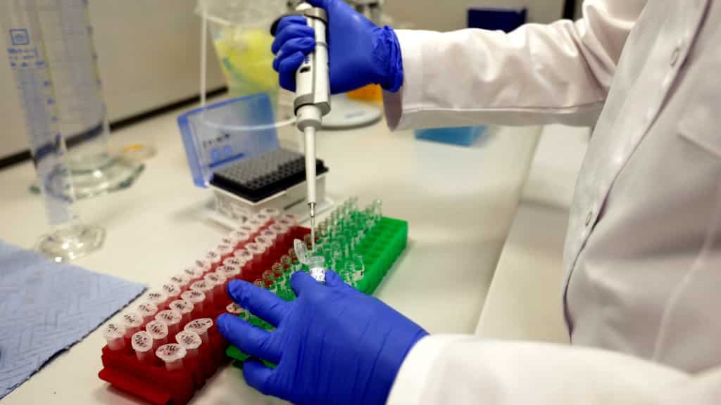 Czech startup gets EU nod to make lab-grown meat for pets