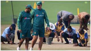 CWC 2023: Will Pakistan qualify for semi-finals if New Zealand vs Sri Lanka is washed out?