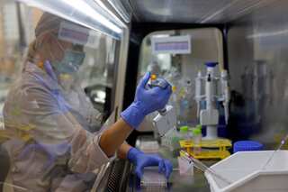 Czech firm Bene Meat gets EU approval for lab-grown pet food