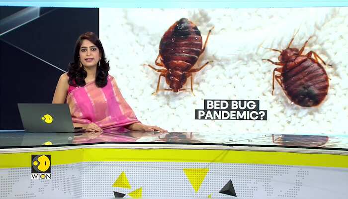 Gravitas: From Hong Kong to Paris, world on high alert for bedbugs
