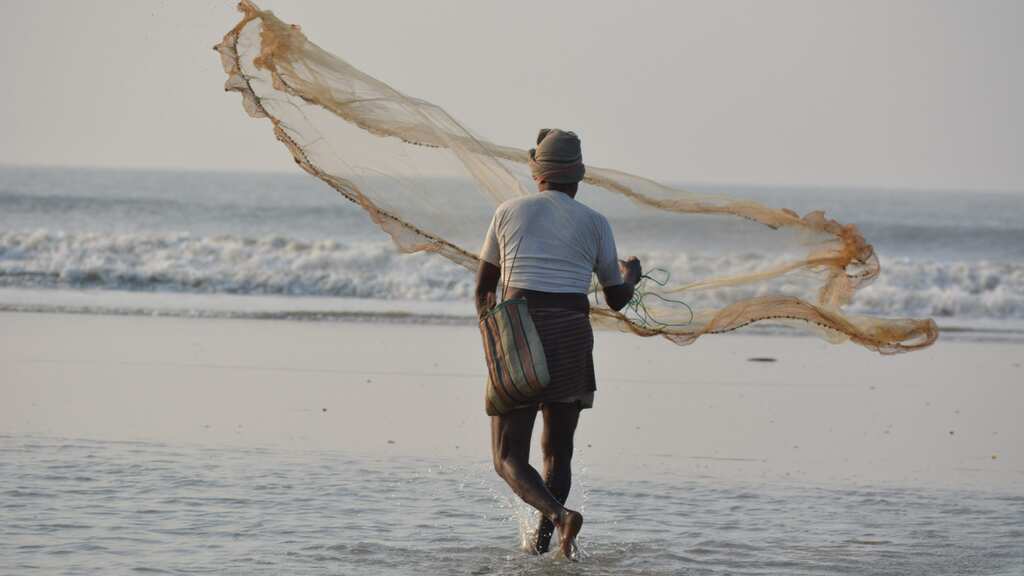 Pakistan: Fisherman sells rare fish, becomes millionaire overnight