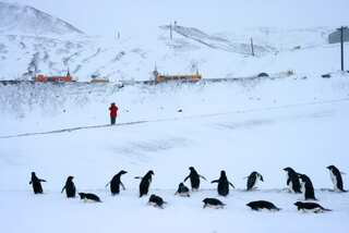Melting sea ice causing heavier snowfall in Antarctica, staving off high sea levels