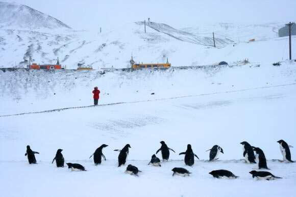 Melting sea ice causing heavier snowfall in Antarctica, staving off high sea levels