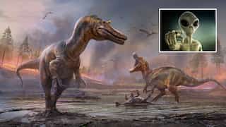 Earth was more charming for aliens when dinosaurs existed, suggests study