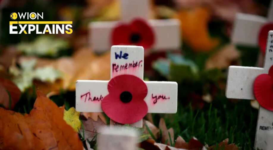 Explained | Honouring all who served, the evolution from Armistice Day to Veterans Day in US
