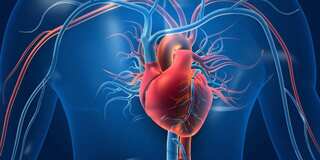 Kinder, flexible workplaces lead to better heart health among older employees: Study