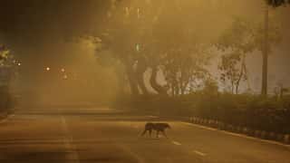 After Diwali, two more Indian cities join New Delhi among world's top 10 most polluted