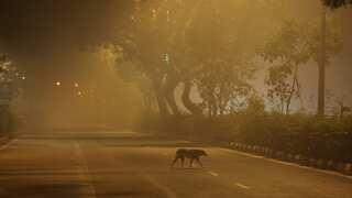 After Diwali, two more Indian cities join New Delhi among world's top 10 most polluted