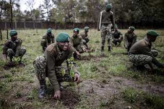 Kenyans brave heavy rain to plant trees as public holiday declared to achieve 100mn sapling goal
