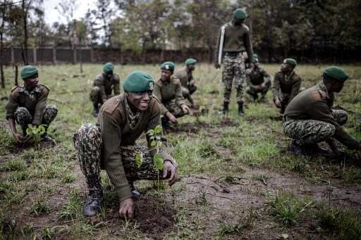 Kenyans brave heavy rain to plant trees as public holiday declared to achieve 100mn sapling goal