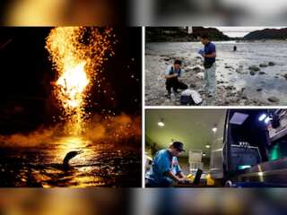 In pics | Climate change threatens Japan's cormorant fishing legacy