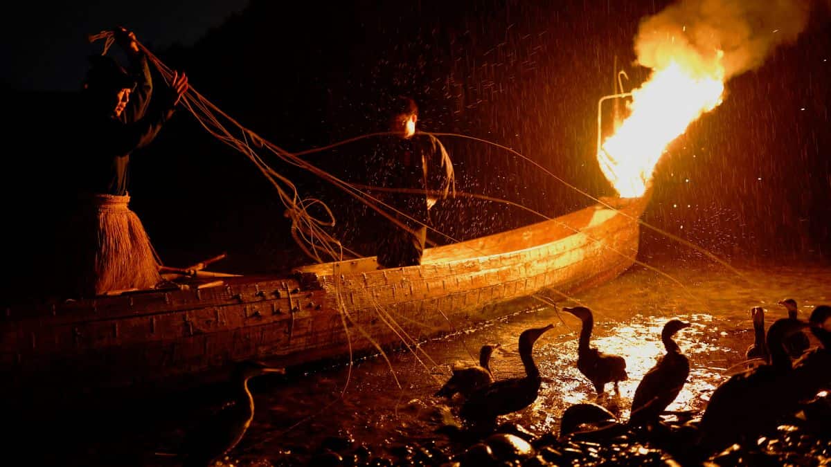 Fishing master prepares for cormorant fishing