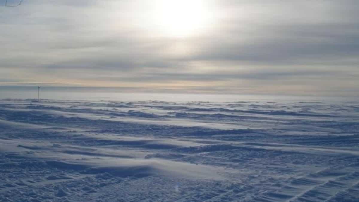 Researchers believe the collapse of West Antarctic ice sheet is preventable: Report