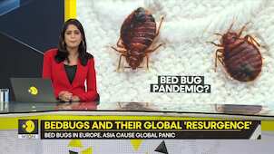 Gravitas:  What's 'bugging' Hong Kong this winter