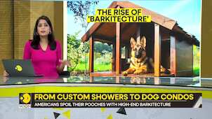Gravitas: 'Barkitecture' boom in the US