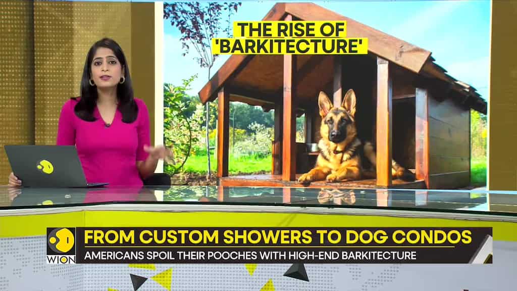 Gravitas: 'Barkitecture' boom in the US