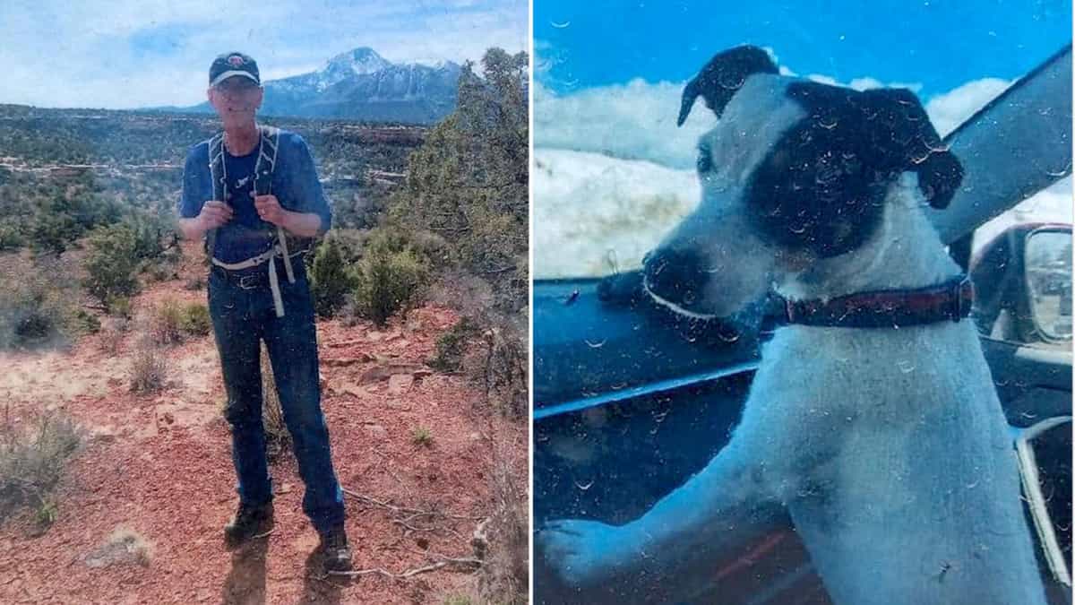 US: Hiker's loyal dog found alive near his body weeks after death on trail US: Hiker's loyal dog found alive near his body weeks after death on trail