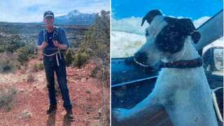 US: Hiker's loyal dog found alive near his body weeks after death on trail