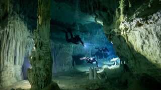 Sinkholes, tunnels: Staggering wealth of microbial life in Mexico’s underwater labyrinth unravelled