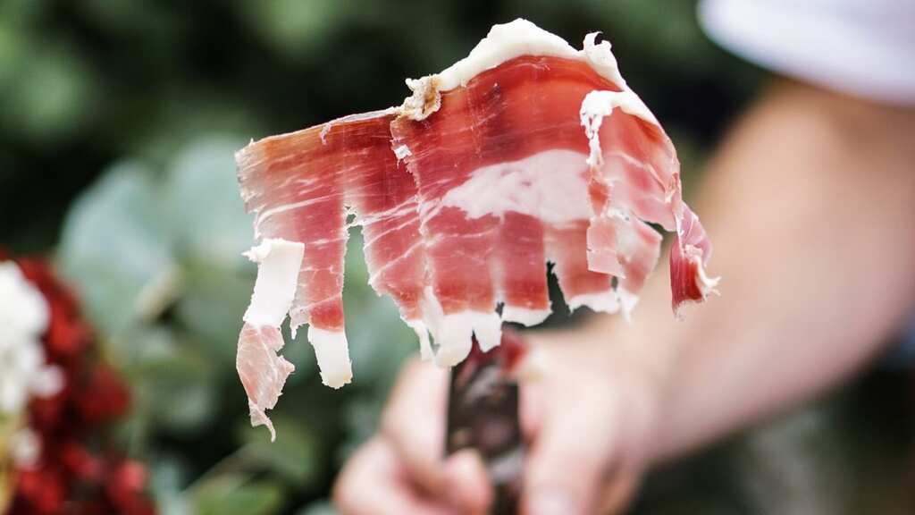 Italy bans lab-grown 'frankenstein' meat citing health concerns and need to safeguard livestock industry