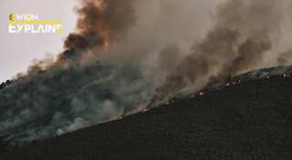 EXPLAINED | What will happen if the world fulfills its goal of net-zero emissions?