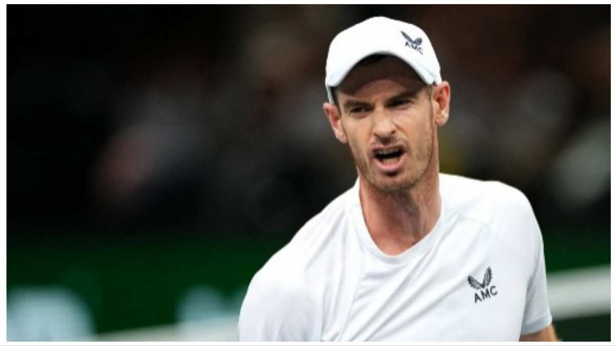 Tennis: Three-times major winner Andy Murray out of Davis Cup due to clash with Novak Djokovic Tennis: Three-times major winner Andy Murray out of Davis Cup due to clash with Novak Djokovic