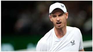 Tennis: Three-times major winner Andy Murray out of Davis Cup due to clash with Novak Djokovic