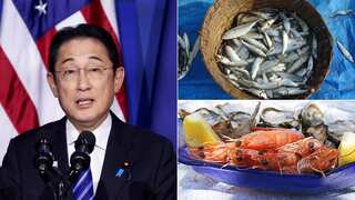 Fukushima wastewater release: PM Fumio Kishida says China agreed to discuss Japanese seafood ban