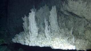 Unique 'Lost City' deep in the ocean is a marvel, but it now faces mining threats