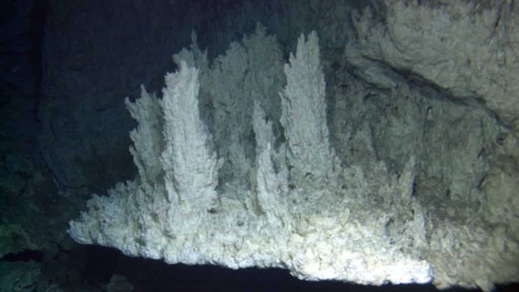 Unique 'Lost City' deep in the ocean is a marvel, but it now faces mining threats