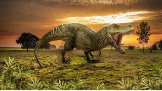 Dinosaurs might be roaming some other planet, new study finds