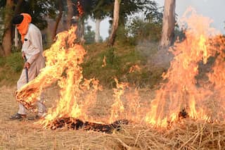 Indian Supreme Court raps Punjab govt over stubble burning, asks it to take cue from Haryana