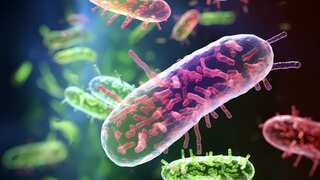 E. coli creates memories and passes them on to future generations, study finds