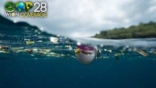 Artificial Intelligence could aid humanity's effort to free oceans from plastic, research shows