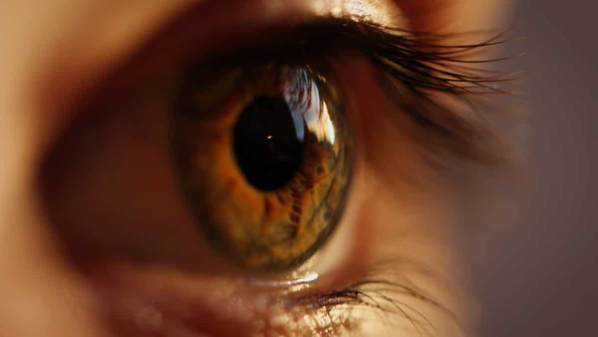 When eyes 'talk' to ear: Microphones in ear canal can tell where a person is looking