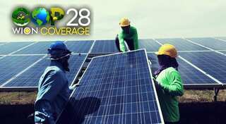 Installing solar panels more eco-friendly than planting trees: Study