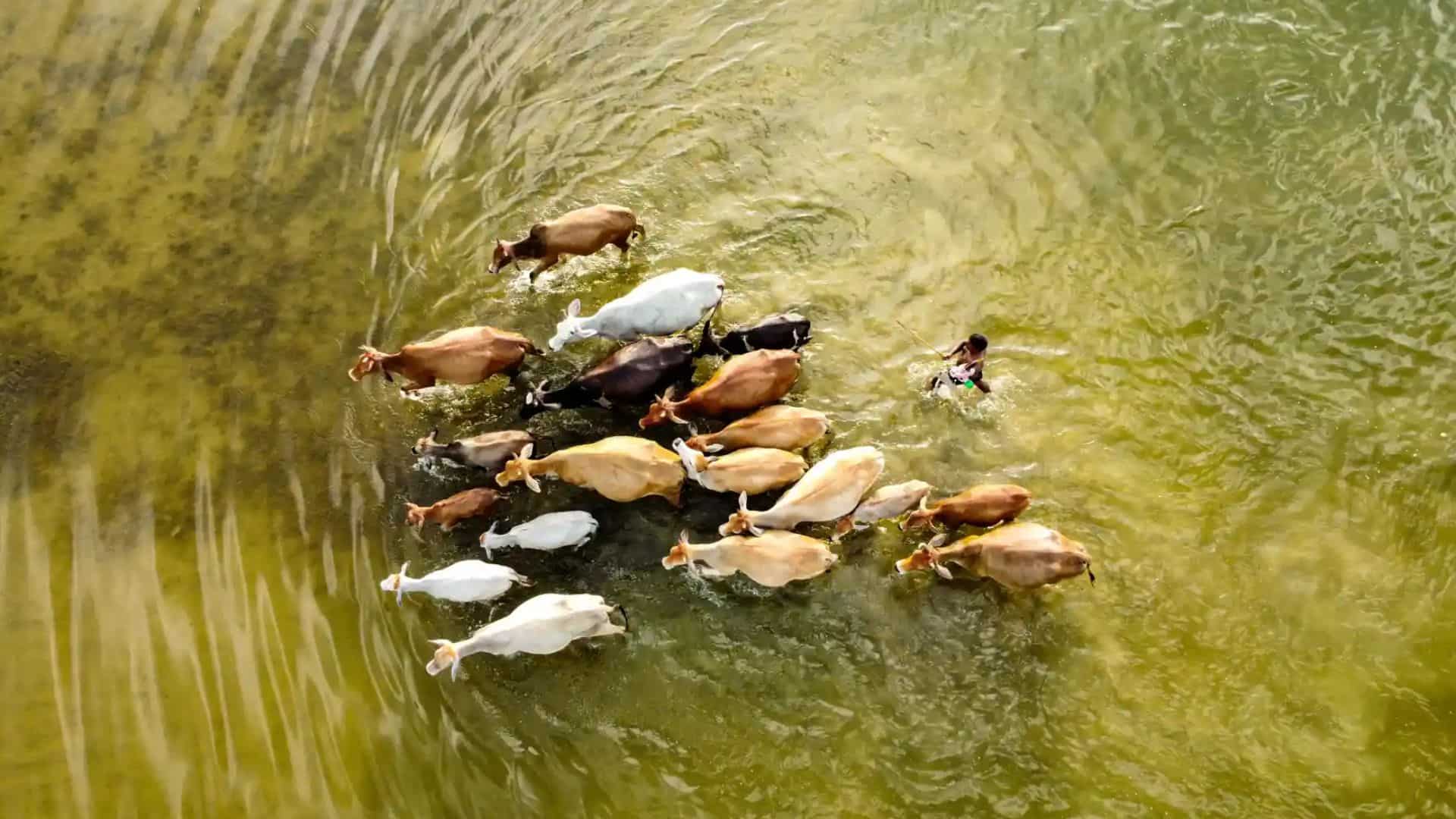 Youth title – Flood-affected area