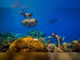 In Pics: Environmental photographer of the year 2023