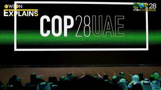 Explained | What are the key issues in the upcoming COP28 summit in UAE?