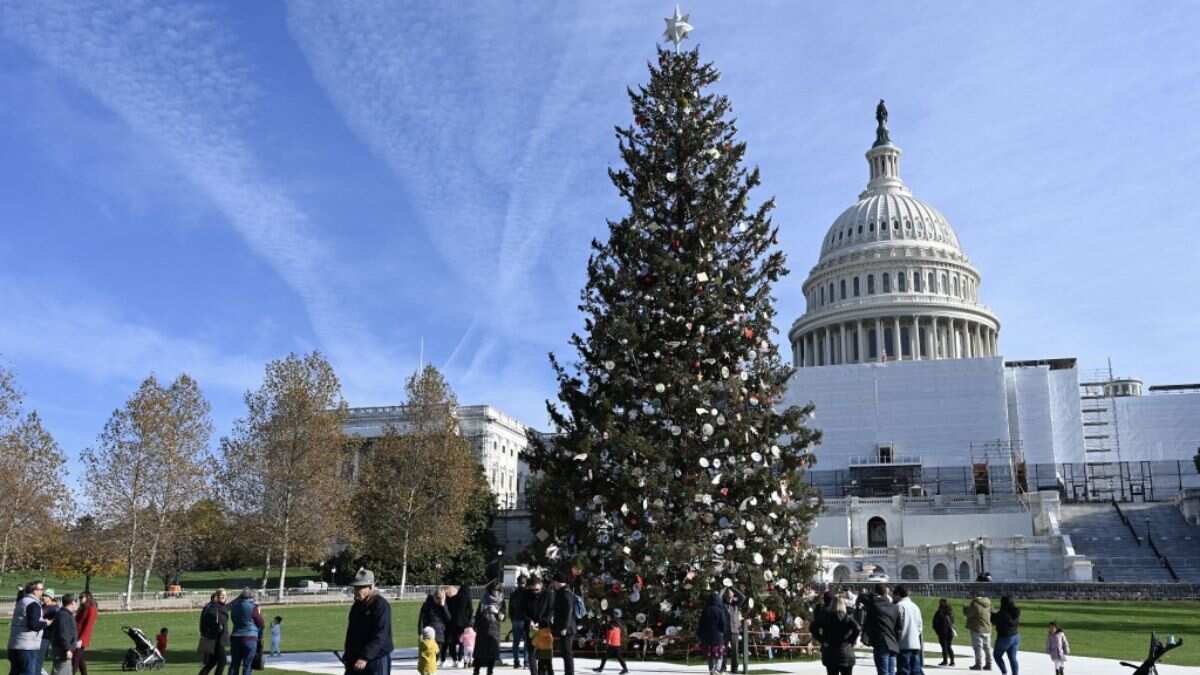 Strong winds knock over the National Christmas Tree outside White House