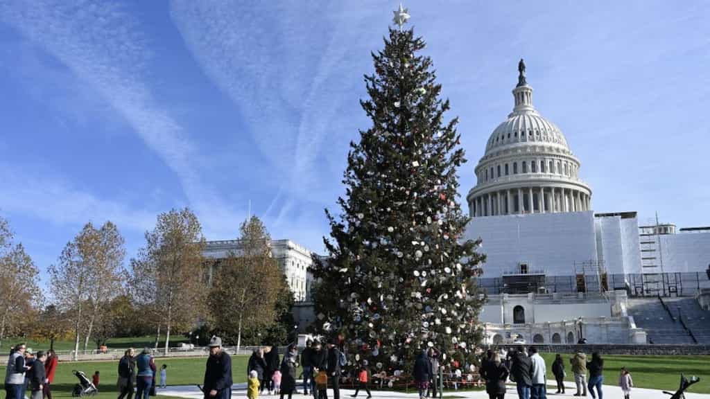 Strong winds knock over the National Christmas Tree outside White House