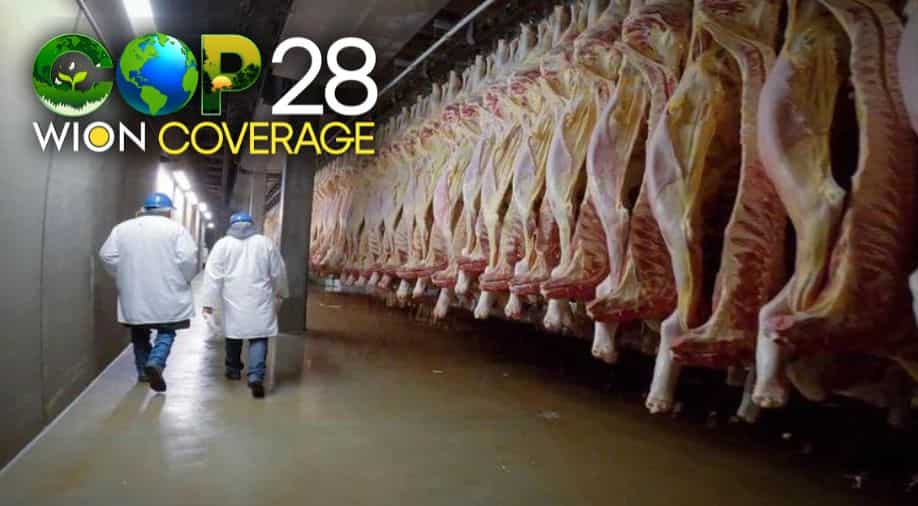 At Cop28, big meat companies to present meat as ‘sustainable nutrition