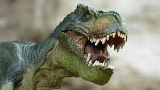 Not a meteorite, but India's Deccan Traps may have led to extinction of dinosaurs from Earth: Study