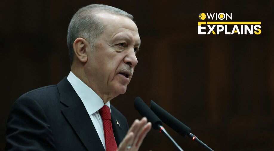 Explained: Did Turkey benefit as it delayed Sweden's NATO bid?